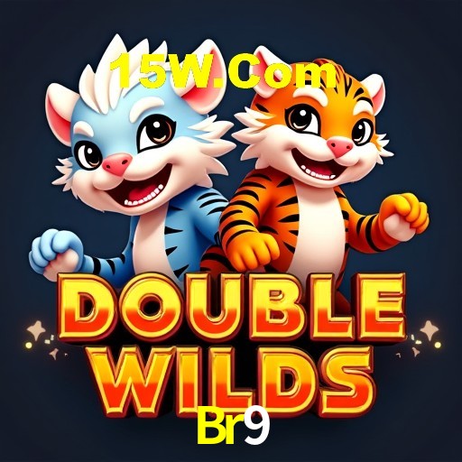 Roda da fortuna na Br9